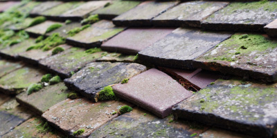 Holywell roof repair costs